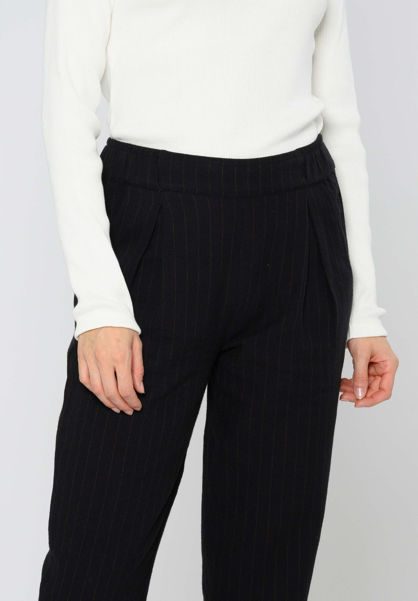 TT66 Pleat Pants PINSTRIPE (GOTS)